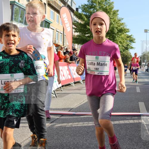 15.09.2024 - PSD Bank Halbmarathon Strokosch-Dieckow http://msf.ph/oto/7063815 15.09.2024 10:32:57 Ziel 1, 4, 33, 68, 83, 176, 182, 232, 241, 275, 283, 302 meine-sportfotos.de