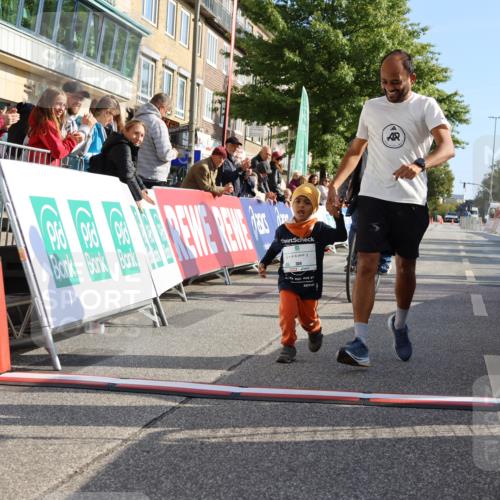 15.09.2024 - PSD Bank Halbmarathon Strokosch-Dieckow http://msf.ph/oto/7064238 15.09.2024 10:33:43 Ziel 224, 304 meine-sportfotos.de