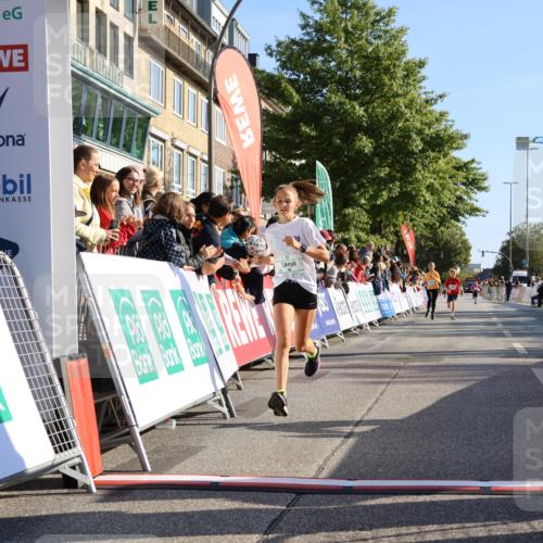 15.09.2024 - PSD Bank Halbmarathon Strokosch-Dieckow http://msf.ph/oto/7064502 15.09.2024 10:26:08 Ziel 20, 54, 98, 240, 248, 298, 300 meine-sportfotos.de