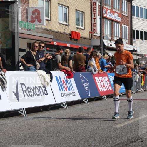 15.09.2024 - PSD Bank Halbmarathon Michael Strokosch http://msf.ph/oto/7064680 15.09.2024 11:55:27 Ziel 1517, 2019, 2794, 2837 meine-sportfotos.de