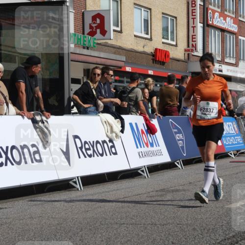 15.09.2024 - PSD Bank Halbmarathon Michael Strokosch http://msf.ph/oto/7064685 15.09.2024 11:55:27 Ziel 1517, 2019, 2794, 2837 meine-sportfotos.de