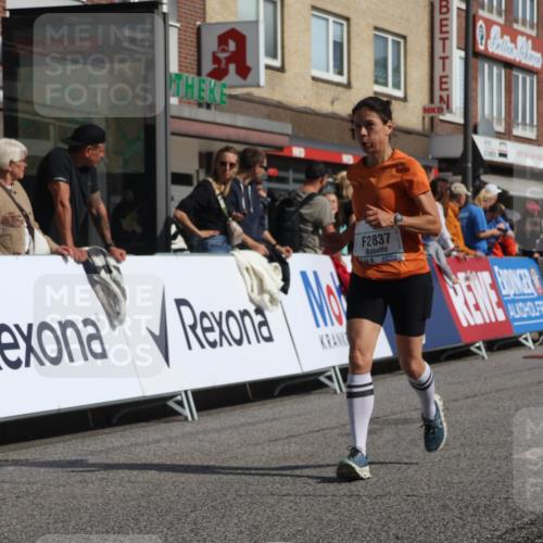 15.09.2024 - PSD Bank Halbmarathon Michael Strokosch http://msf.ph/oto/7064690 15.09.2024 11:55:27 Ziel 1517, 2019, 2794, 2837 meine-sportfotos.de