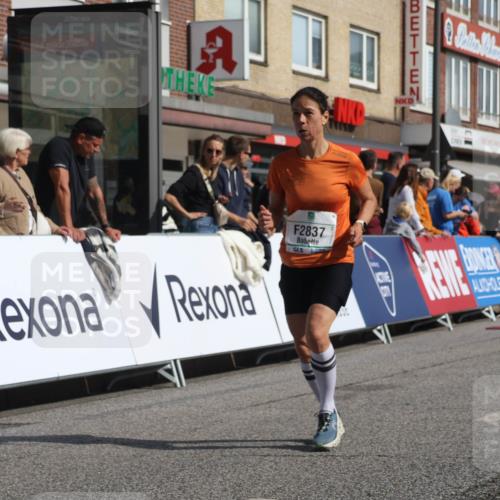 15.09.2024 - PSD Bank Halbmarathon Michael Strokosch http://msf.ph/oto/7064693 15.09.2024 11:55:28 Ziel 1517, 2019, 2794, 2837 meine-sportfotos.de