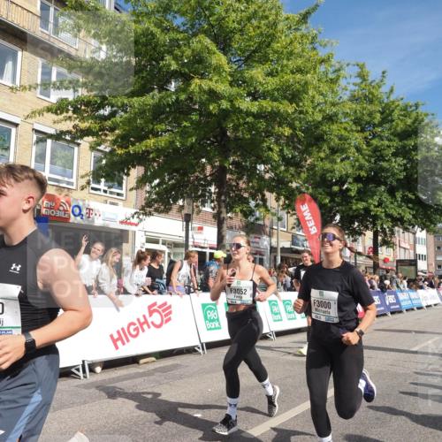 15.09.2024 - PSD Bank Halbmarathon Miley Keyser http://msf.ph/oto/7064750 15.09.2024 12:15:02 Ziel 798, 1544, 1950, 2091, 2118, 2390, 2530, 2557, 3000, 3052, 3168 meine-sportfotos.de