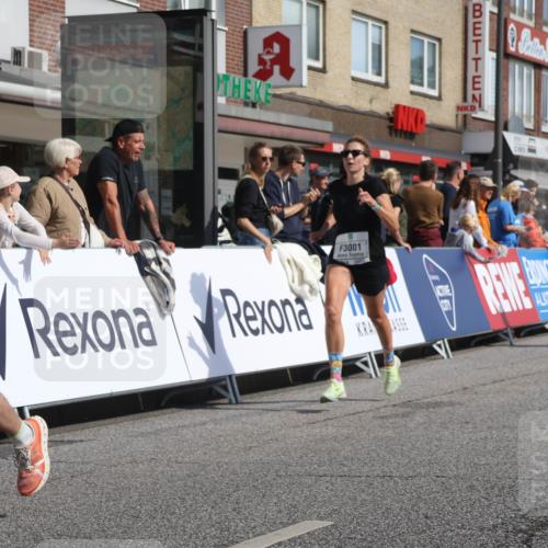 15.09.2024 - PSD Bank Halbmarathon Michael Strokosch http://msf.ph/oto/7064783 15.09.2024 11:55:41 Ziel 705, 1248, 1517, 1660, 1891, 2019, 2172, 2217, 2716, 2853, 3001 meine-sportfotos.de