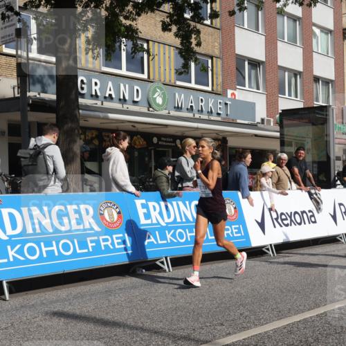 15.09.2024 - PSD Bank Halbmarathon Michael Strokosch http://msf.ph/oto/7064843 15.09.2024 11:55:51 Ziel 1061, 1248, 1586, 1605, 1660, 2172, 2181, 2217, 2716, 2853, 3001, 3150 meine-sportfotos.de