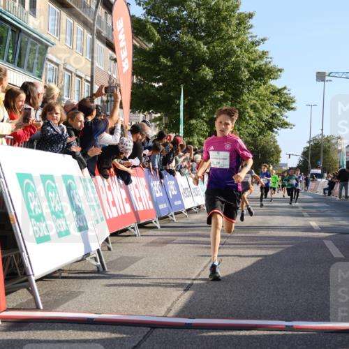 15.09.2024 - PSD Bank Halbmarathon Strokosch-Dieckow http://msf.ph/oto/7064871 15.09.2024 10:26:24 Ziel 9, 20, 88, 144, 181, 216, 240, 242, 295 meine-sportfotos.de