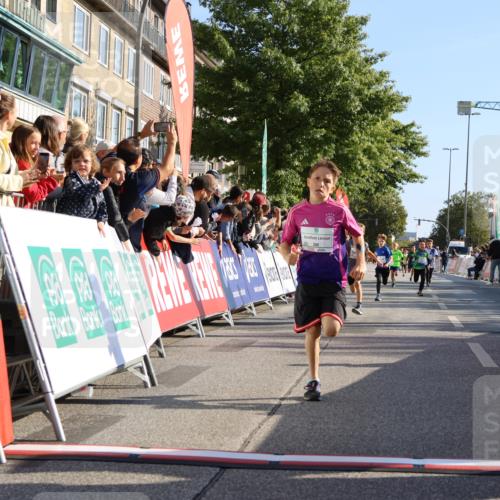 15.09.2024 - PSD Bank Halbmarathon Strokosch-Dieckow http://msf.ph/oto/7064882 15.09.2024 10:26:24 Ziel 9, 20, 88, 144, 181, 216, 240, 242, 295 meine-sportfotos.de