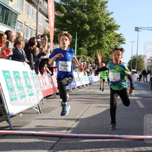 15.09.2024 - PSD Bank Halbmarathon Strokosch-Dieckow http://msf.ph/oto/7065331 15.09.2024 10:26:28 Ziel 9, 86, 88, 116, 144, 181, 200, 216, 242, 295 meine-sportfotos.de