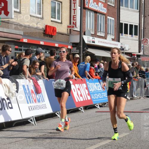 15.09.2024 - PSD Bank Halbmarathon Michael Strokosch http://msf.ph/oto/7065360 15.09.2024 11:57:11 Ziel 971, 977, 980, 1431, 1451, 1526, 1935, 2080, 2646, 2836, 2922 meine-sportfotos.de