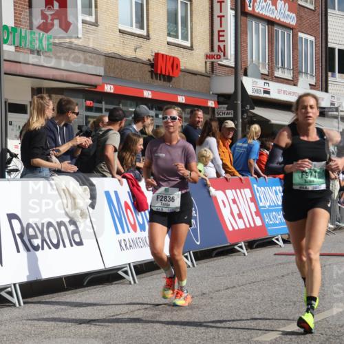 15.09.2024 - PSD Bank Halbmarathon Michael Strokosch http://msf.ph/oto/7065362 15.09.2024 11:57:12 Ziel 971, 1431, 1451, 1526, 1935, 2080, 2646, 2836, 2922 meine-sportfotos.de