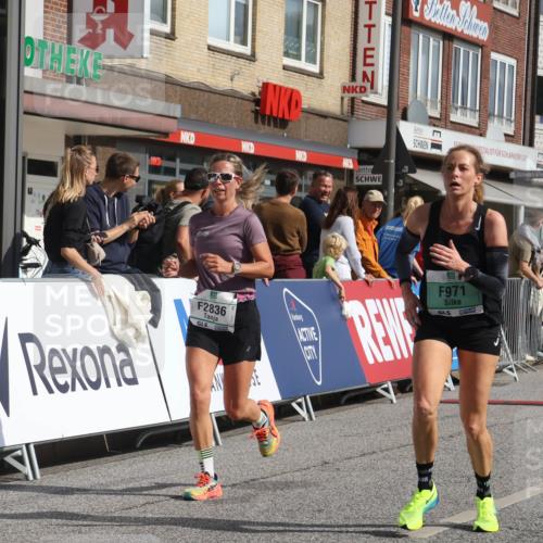 15.09.2024 - PSD Bank Halbmarathon Michael Strokosch http://msf.ph/oto/7065365 15.09.2024 11:57:12 Ziel 971, 1431, 1451, 1526, 1935, 2080, 2646, 2836, 2922 meine-sportfotos.de