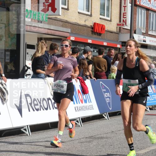 15.09.2024 - PSD Bank Halbmarathon Michael Strokosch http://msf.ph/oto/7065367 15.09.2024 11:57:12 Ziel 971, 1431, 1451, 1526, 1935, 2080, 2646, 2836, 2922 meine-sportfotos.de