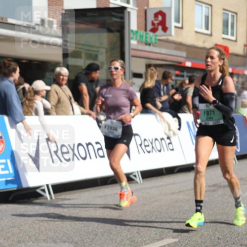 15.09.2024 - PSD Bank Halbmarathon Michael Strokosch http://msf.ph/oto/7065371 15.09.2024 11:57:13 Ziel 971, 1431, 1451, 1526, 1935, 2080, 2510, 2646, 2836, 2922 meine-sportfotos.de