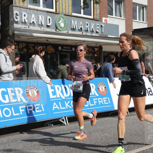 15.09.2024 - PSD Bank Halbmarathon Michael Strokosch http://msf.ph/oto/7065379 15.09.2024 11:57:14 Ziel 971, 1431, 1451, 1935, 2080, 2141, 2510, 2646, 2836, 2922 meine-sportfotos.de