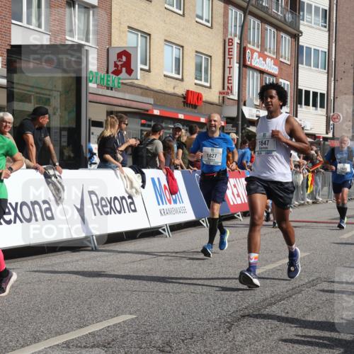 15.09.2024 - PSD Bank Halbmarathon Michael Strokosch http://msf.ph/oto/7065511 15.09.2024 11:57:33 Ziel 806, 978, 1281, 1289, 1505, 1647, 1827, 1920, 1987, 2141, 2510, 2905, 2929 meine-sportfotos.de