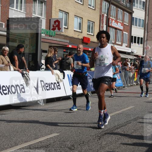 15.09.2024 - PSD Bank Halbmarathon Michael Strokosch http://msf.ph/oto/7065514 15.09.2024 11:57:33 Ziel 806, 978, 1281, 1289, 1505, 1647, 1827, 1920, 1987, 2141, 2510, 2905, 2929 meine-sportfotos.de