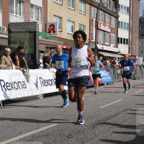 15.09.2024 - PSD Bank Halbmarathon Michael Strokosch http://msf.ph/oto/7065516 15.09.2024 11:57:33 Ziel 806, 978, 1281, 1289, 1505, 1647, 1827, 1920, 1987, 2141, 2510, 2905, 2929 meine-sportfotos.de