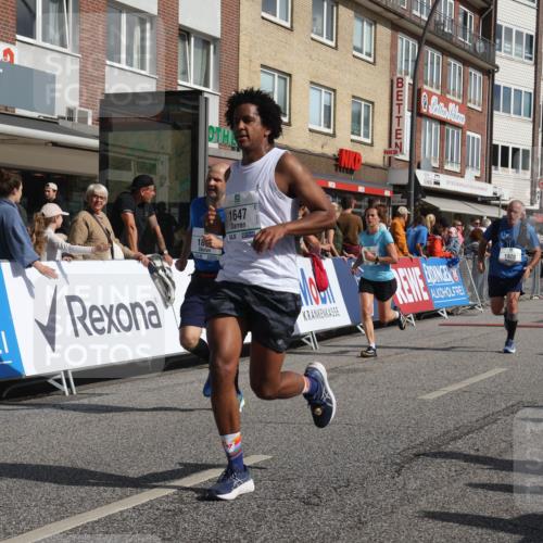 15.09.2024 - PSD Bank Halbmarathon Michael Strokosch http://msf.ph/oto/7065517 15.09.2024 11:57:34 Ziel 806, 978, 1281, 1289, 1505, 1647, 1827, 1920, 1987, 2141, 2905, 2929 meine-sportfotos.de