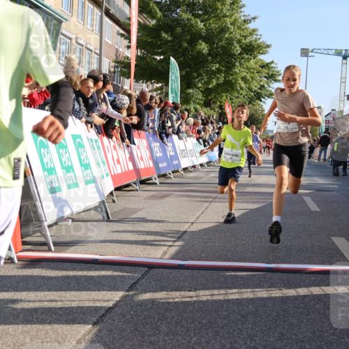 15.09.2024 - PSD Bank Halbmarathon Strokosch-Dieckow http://msf.ph/oto/7066016 15.09.2024 10:26:37 Ziel 9, 86, 88, 116, 118, 143, 144, 181, 188, 200, 216, 251, 295 meine-sportfotos.de