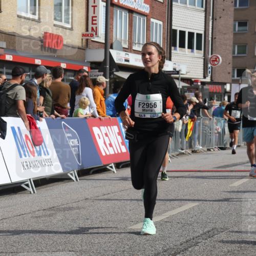 15.09.2024 - PSD Bank Halbmarathon Michael Strokosch http://msf.ph/oto/7066059 15.09.2024 11:58:55 Ziel 1329, 1862, 1870, 1890, 1955, 2230, 2297, 2721, 2756, 2776, 2956, 3022, 3051, 3528, 3551 meine-sportfotos.de