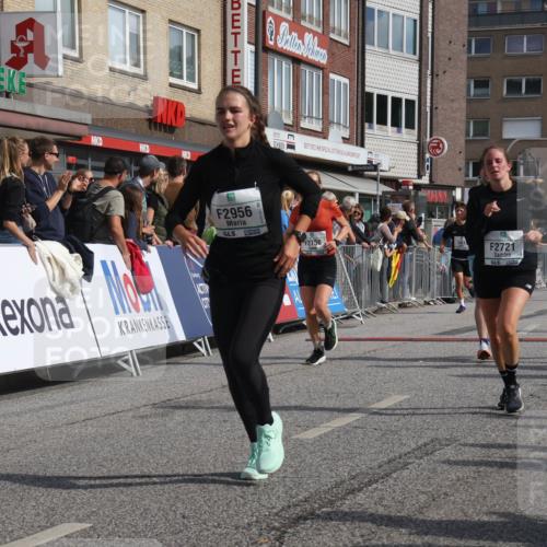 15.09.2024 - PSD Bank Halbmarathon Michael Strokosch http://msf.ph/oto/7066064 15.09.2024 11:58:55 Ziel 1329, 1862, 1870, 1890, 1955, 2230, 2297, 2721, 2756, 2776, 2956, 3022, 3051, 3528, 3551 meine-sportfotos.de