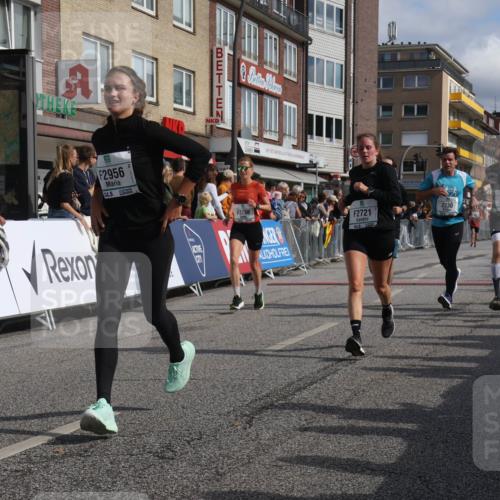 15.09.2024 - PSD Bank Halbmarathon Michael Strokosch http://msf.ph/oto/7066068 15.09.2024 11:58:55 Ziel 1329, 1862, 1870, 1890, 1955, 2230, 2297, 2721, 2756, 2776, 2956, 3022, 3051, 3528, 3551 meine-sportfotos.de