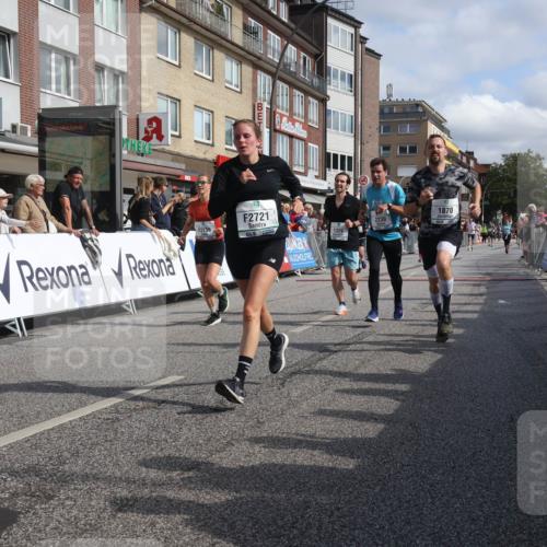 15.09.2024 - PSD Bank Halbmarathon Michael Strokosch http://msf.ph/oto/7066075 15.09.2024 11:58:56 Ziel 1329, 1862, 1870, 1890, 1955, 2230, 2297, 2721, 2756, 2776, 2956, 3022, 3051, 3528, 3551 meine-sportfotos.de