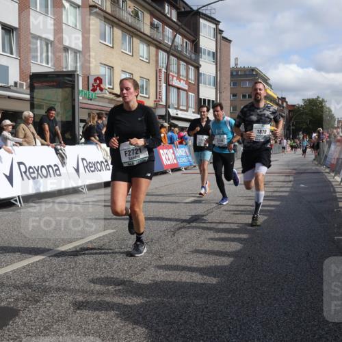 15.09.2024 - PSD Bank Halbmarathon Michael Strokosch http://msf.ph/oto/7066077 15.09.2024 11:58:57 Ziel 1329, 1862, 1870, 1890, 1955, 2230, 2297, 2721, 2756, 2776, 2956, 3022, 3051, 3528, 3551 meine-sportfotos.de