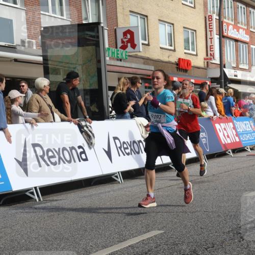 15.09.2024 - PSD Bank Halbmarathon Michael Strokosch http://msf.ph/oto/7066145 15.09.2024 11:59:06 Ziel 795, 1329, 1585, 1862, 1870, 2061, 2230, 2278, 2545, 2721, 2756, 2767, 2776, 2897, 2956, 3189 meine-sportfotos.de