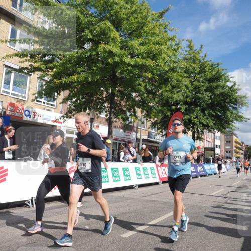 15.09.2024 - PSD Bank Halbmarathon Miley Keyser http://msf.ph/oto/7066197 15.09.2024 12:17:06 Ziel 1157, 1596, 2117, 2270, 2277, 2686, 2969, 3109, 3118, 3130, 3193, 3250, 3403, 3507, 3558 meine-sportfotos.de