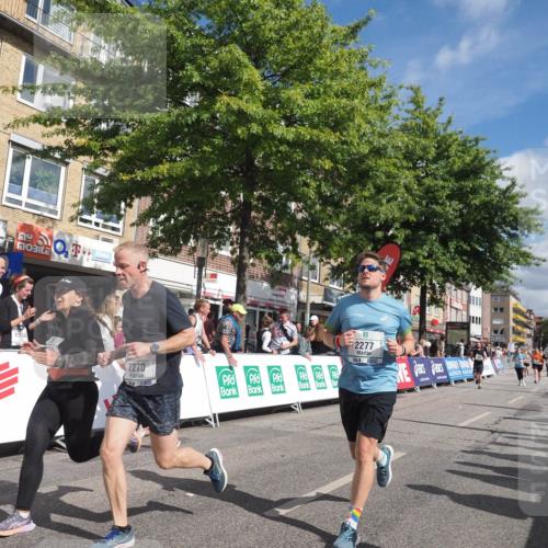 15.09.2024 - PSD Bank Halbmarathon Miley Keyser http://msf.ph/oto/7066201 15.09.2024 12:17:06 Ziel 1157, 1596, 2117, 2270, 2277, 2686, 2969, 3109, 3118, 3130, 3193, 3250, 3403, 3507, 3558 meine-sportfotos.de