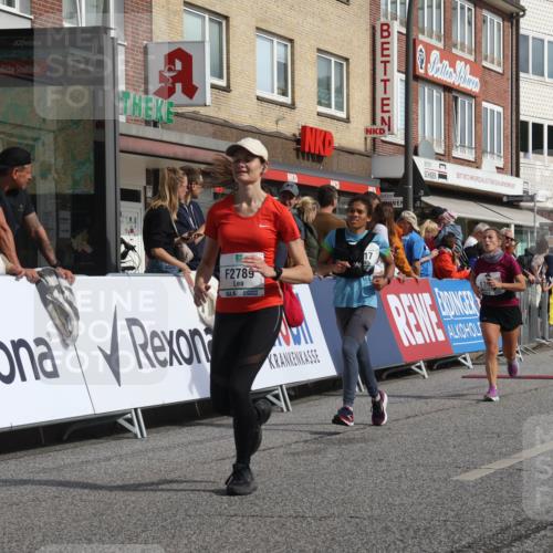 15.09.2024 - PSD Bank Halbmarathon Michael Strokosch http://msf.ph/oto/7066242 15.09.2024 11:59:20 Ziel 1554, 1585, 1738, 1739, 2061, 2142, 2278, 2545, 2767, 2789, 2817, 2950, 3189 meine-sportfotos.de