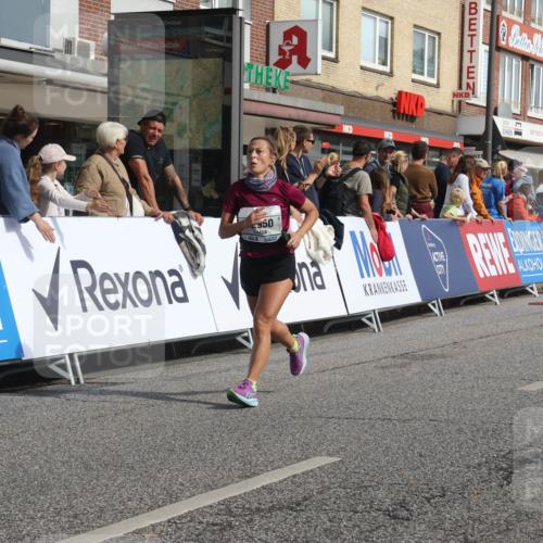 15.09.2024 - PSD Bank Halbmarathon Michael Strokosch http://msf.ph/oto/7066257 15.09.2024 11:59:23 Ziel 1139, 1554, 1665, 1738, 1739, 2004, 2142, 2278, 2545, 2767, 2789, 2817, 2876, 2950, 3189 meine-sportfotos.de