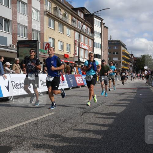 15.09.2024 - PSD Bank Halbmarathon Michael Strokosch http://msf.ph/oto/7066301 15.09.2024 11:59:29 Ziel 1139, 1455, 1554, 1665, 1738, 2004, 2046, 2142, 2783, 2789, 2817, 2876, 2950 meine-sportfotos.de