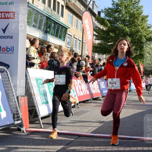 15.09.2024 - PSD Bank Halbmarathon Strokosch-Dieckow http://msf.ph/oto/7066502 15.09.2024 10:26:50 Ziel 134, 143, 173, 196, 209, 212, 229, 237, 251, 307 meine-sportfotos.de