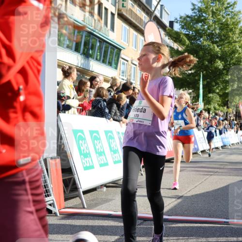 15.09.2024 - PSD Bank Halbmarathon Strokosch-Dieckow http://msf.ph/oto/7066602 15.09.2024 10:26:51 Ziel 134, 143, 173, 196, 209, 212, 229, 237, 251, 307 meine-sportfotos.de