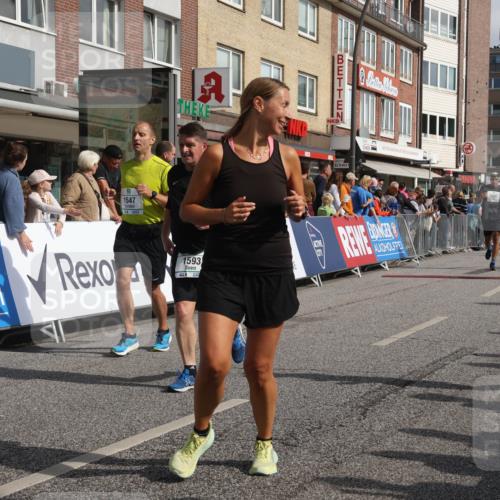 15.09.2024 - PSD Bank Halbmarathon Michael Strokosch http://msf.ph/oto/7066628 15.09.2024 12:00:16 Ziel 1258, 1546, 1547, 1593, 1625, 1848, 1852, 1952, 1960, 2047, 2357, 2570, 2713, 2714, 2778, 2826, 3445, 3519 meine-sportfotos.de