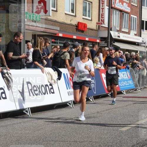 15.09.2024 - PSD Bank Halbmarathon Michael Strokosch http://msf.ph/oto/7066742 15.09.2024 12:00:33 Ziel 1338, 1788, 1852, 1914, 1951, 2047, 2048, 2357, 2560, 2570, 2842, 3028, 3146, 3316 meine-sportfotos.de
