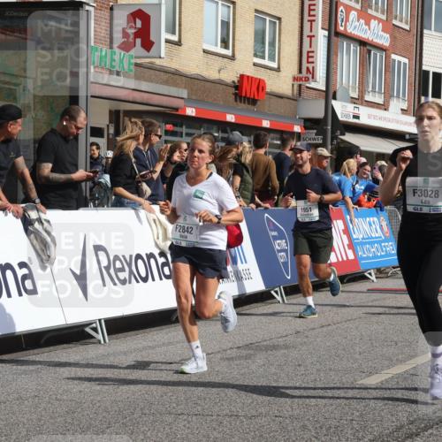 15.09.2024 - PSD Bank Halbmarathon Michael Strokosch http://msf.ph/oto/7066743 15.09.2024 12:00:33 Ziel 1338, 1788, 1852, 1914, 1951, 2047, 2048, 2357, 2560, 2570, 2842, 3028, 3146, 3316 meine-sportfotos.de