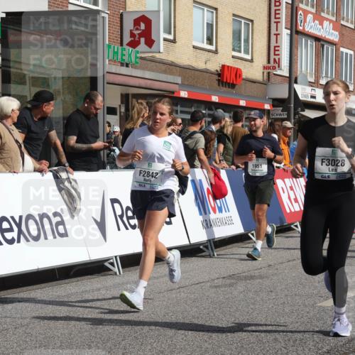 15.09.2024 - PSD Bank Halbmarathon Michael Strokosch http://msf.ph/oto/7066745 15.09.2024 12:00:34 Ziel 1338, 1788, 1852, 1914, 1951, 2047, 2048, 2293, 2560, 2570, 2842, 3028, 3146, 3316 meine-sportfotos.de