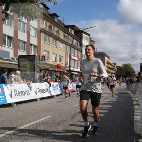 15.09.2024 - PSD Bank Halbmarathon Michael Strokosch http://msf.ph/oto/7067117 15.09.2024 12:01:29 Ziel 1523, 1695, 1710, 1804, 1809, 1823, 2010, 2247, 2279, 2329, 2413, 2506, 2986, 3195 meine-sportfotos.de