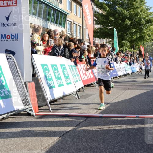15.09.2024 - PSD Bank Halbmarathon Strokosch-Dieckow http://msf.ph/oto/7067215 15.09.2024 10:27:13 Ziel 18, 42, 69, 75, 82, 167, 270, 284, 294 meine-sportfotos.de