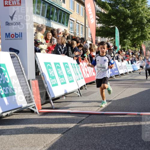 15.09.2024 - PSD Bank Halbmarathon Strokosch-Dieckow http://msf.ph/oto/7067228 15.09.2024 10:27:13 Ziel 18, 42, 69, 75, 82, 167, 270, 284, 294 meine-sportfotos.de