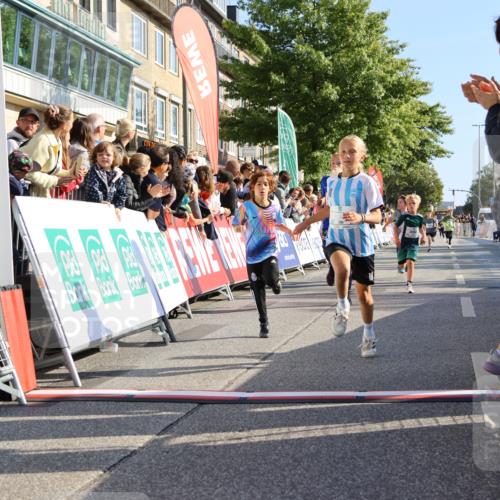 15.09.2024 - PSD Bank Halbmarathon Strokosch-Dieckow http://msf.ph/oto/7067305 15.09.2024 10:27:15 Ziel 18, 42, 69, 75, 82, 167, 198, 210, 270, 284, 294 meine-sportfotos.de