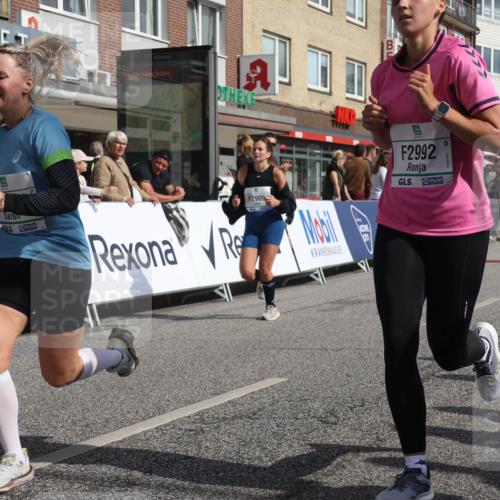 15.09.2024 - PSD Bank Halbmarathon Michael Strokosch http://msf.ph/oto/7067312 15.09.2024 12:01:59 Ziel 1286, 1529, 1779, 1826, 2012, 2159, 2736, 2740, 2792, 2909, 2927, 2990, 2992, 3212, 3484 meine-sportfotos.de