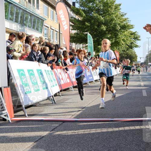 15.09.2024 - PSD Bank Halbmarathon Strokosch-Dieckow http://msf.ph/oto/7067317 15.09.2024 10:27:15 Ziel 18, 42, 69, 75, 82, 167, 198, 210, 270, 284, 294 meine-sportfotos.de