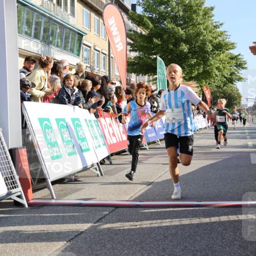 15.09.2024 - PSD Bank Halbmarathon Strokosch-Dieckow http://msf.ph/oto/7067343 15.09.2024 10:27:15 Ziel 18, 42, 69, 75, 82, 167, 198, 210, 270, 284, 294 meine-sportfotos.de