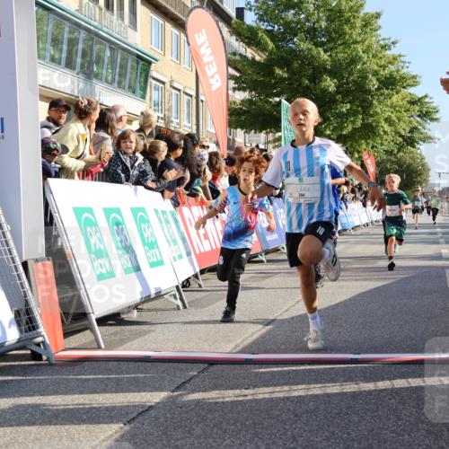15.09.2024 - PSD Bank Halbmarathon Strokosch-Dieckow http://msf.ph/oto/7067358 15.09.2024 10:27:15 Ziel 18, 42, 69, 75, 82, 167, 198, 210, 270, 284, 294 meine-sportfotos.de