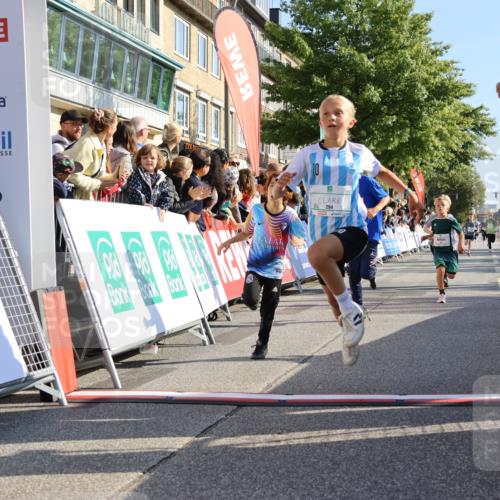 15.09.2024 - PSD Bank Halbmarathon Strokosch-Dieckow http://msf.ph/oto/7067372 15.09.2024 10:27:15 Ziel 18, 42, 69, 75, 82, 167, 198, 210, 270, 284, 294 meine-sportfotos.de